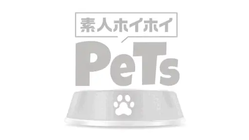 おもちゃハメ撮り【hpt071:アム】佐藤愛瑠のエロいGIF画像[ヌケる無料エロ動画【FANZA素人】]